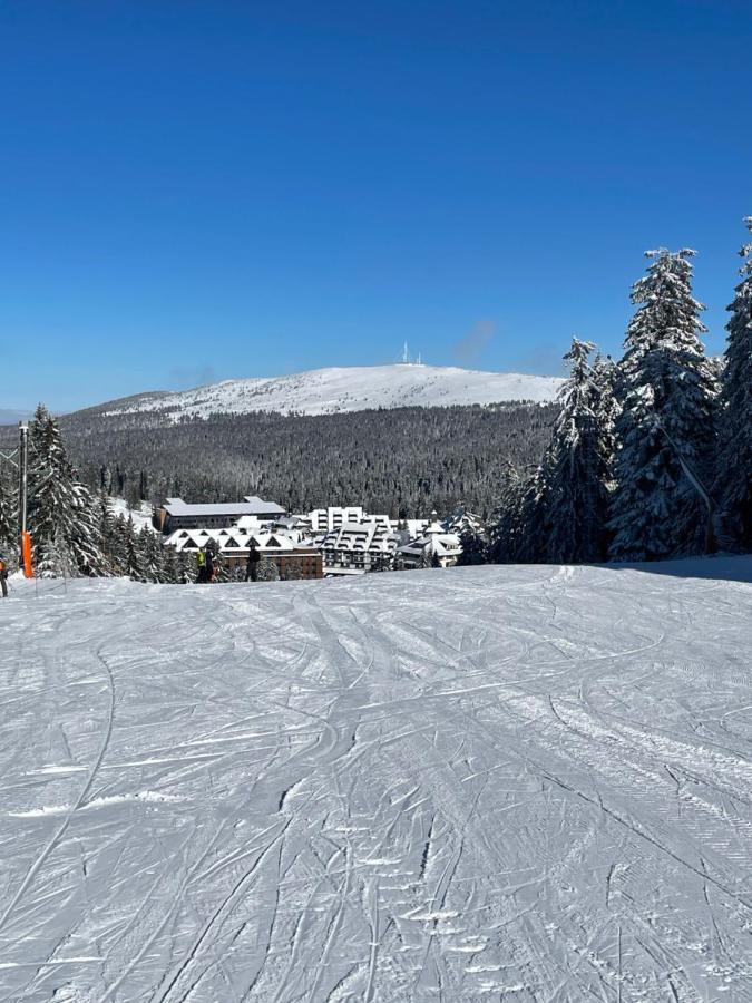 Woodside Apartment 431, Kopaonik - One Separate Bedroom 35M2- Free Parking & Spa Экстерьер фото